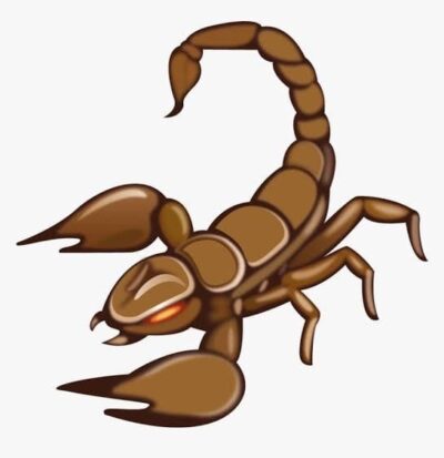 Mr. Scorpion POV 🎥