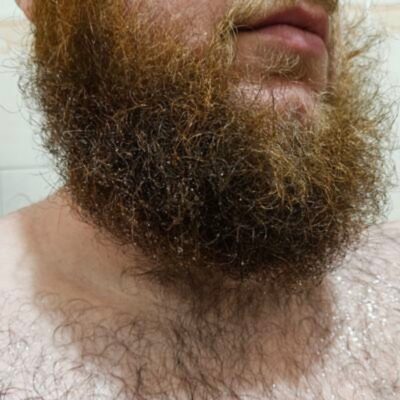 Photo of BeardedAussie66, creator on OnlyFans with exclusive content