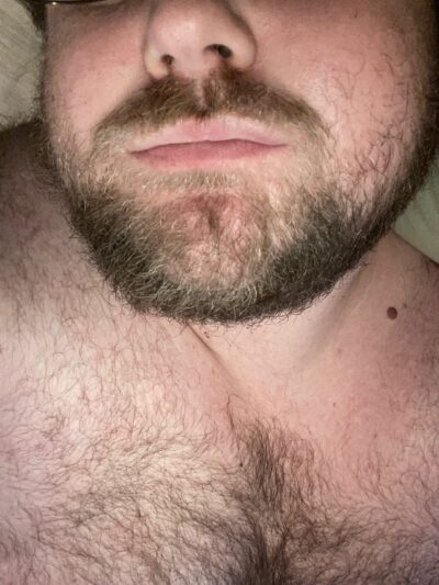Aussie Bear